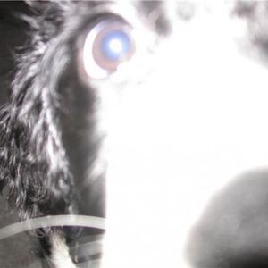 Meet your Posher, Grant